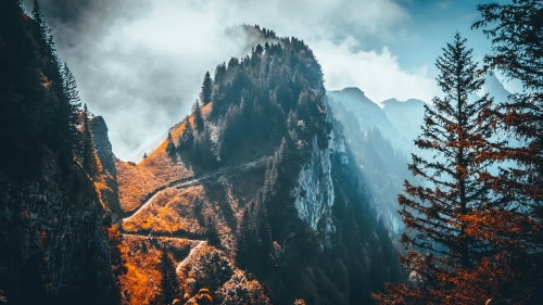 Amazing Beautiful Alps and Old Forest
