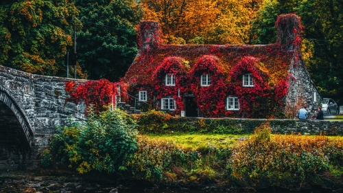 Autumn Garden and Beautiful Old House