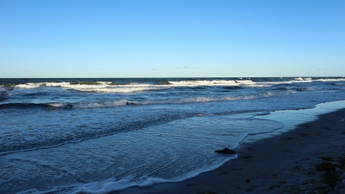 Beautiful Baltic Sea Coast