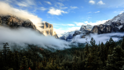 Beautiful foggy forest and mountains