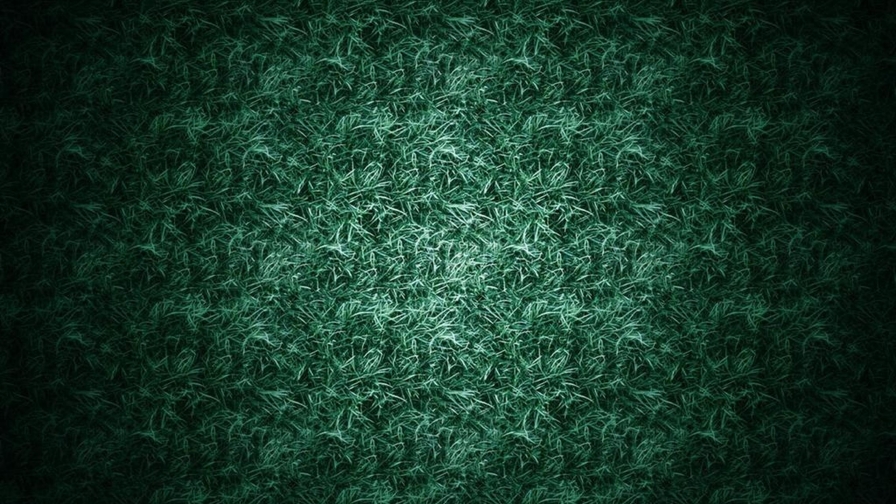 Beautiful Green Grass Field