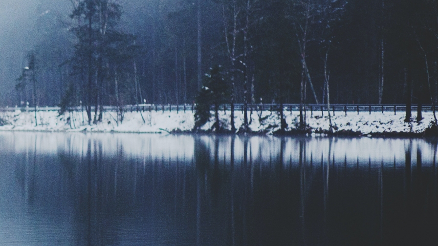 Beautiful Lake and Forest