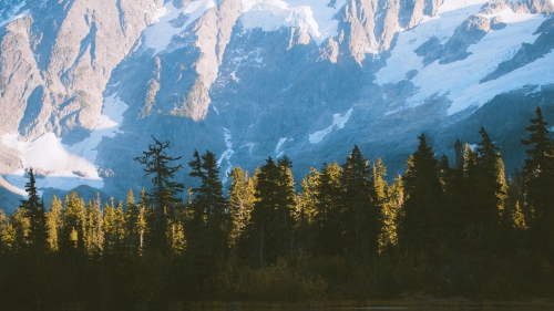 Beautiful Mountains and Pine Green Forest