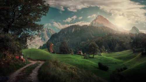 Beautiful Mountains Forest and Path