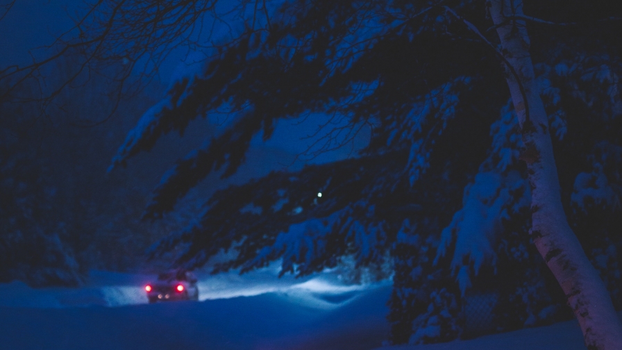 Beautiful Night Winter Forest and Red Lights on the Snow