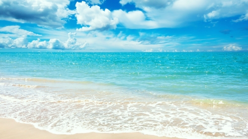 Beautiful Pure Sea and Beach