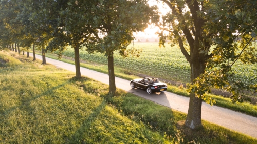 Beautiful Retro Car on Road