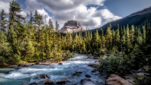Beautiful River and Rocks in Water