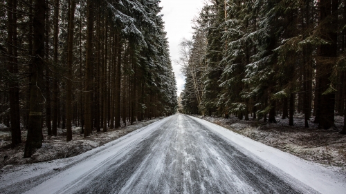 Beautiful Snow Covered Forest and Road