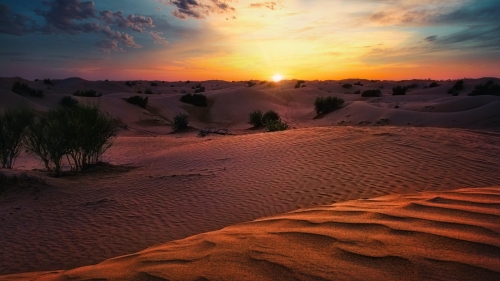 Beautiful Sunset in Desert