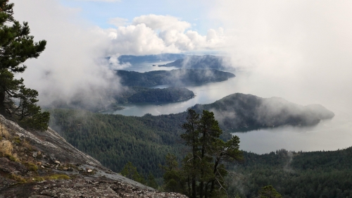 Beautiful Trees on Islands and Rocks