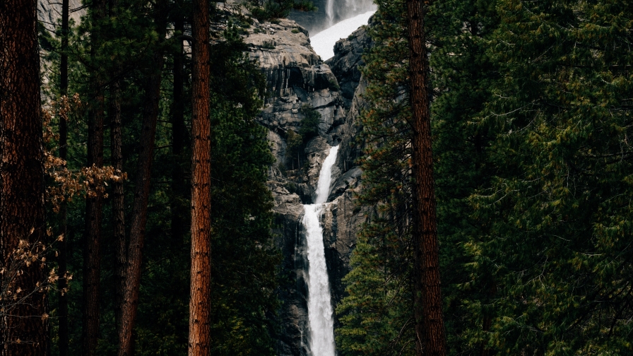 Beautiful Waterfall in Pine Forest