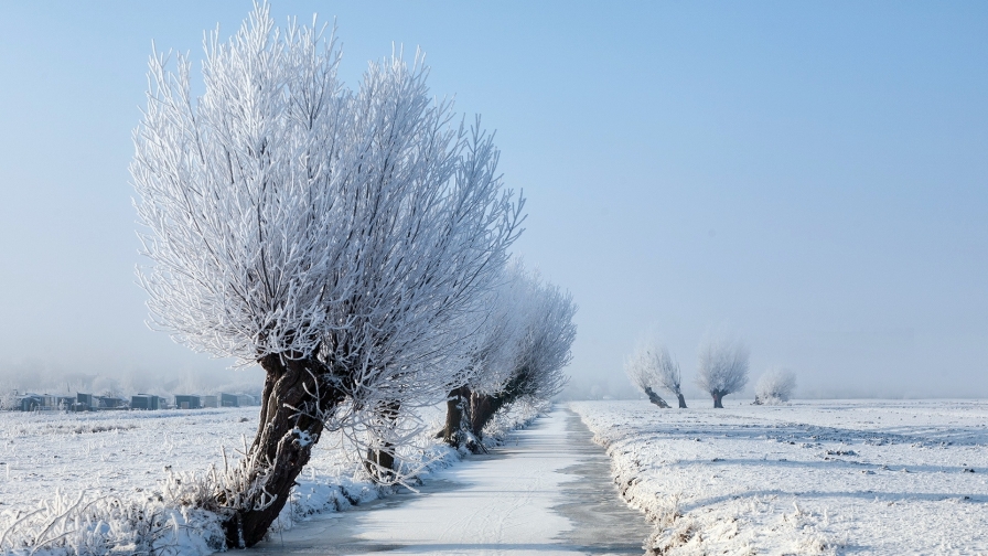 Beautiful Winter River and Frozen Trees