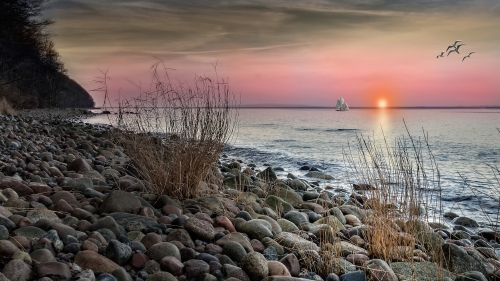 Brown and Grey Stones on Seashore During Sunset