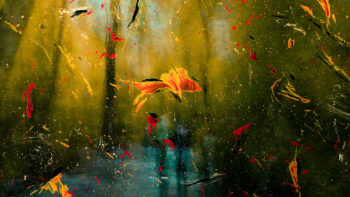 Colorful Stains of Paint