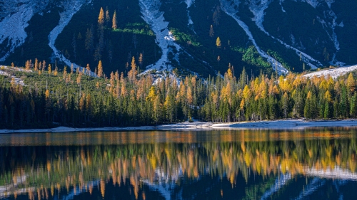 Dolomites Mount and Forest