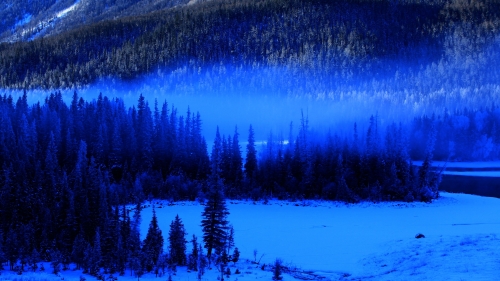 Dusk in Foggy Forest and Mountain Valley