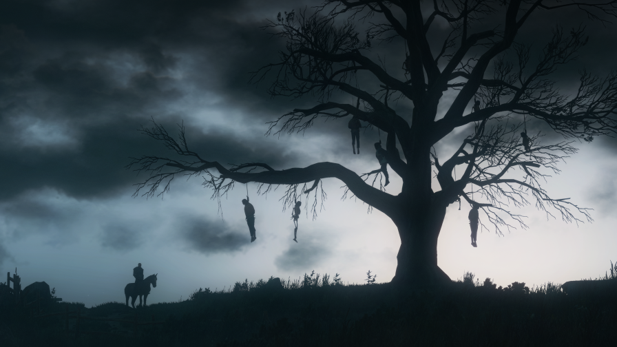 Execution place on the single tree in field