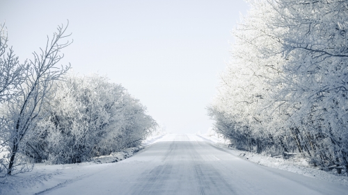 Frost on Highway and Branches