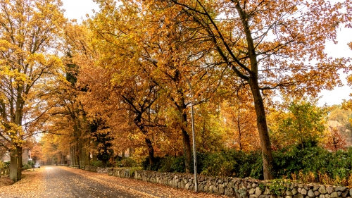 Germany Autumn Roads Brocken Station Lower Saxony