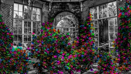 Green and Purple Plant in Front of Building