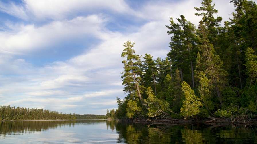 Green Trees on Shore and Beautiful River