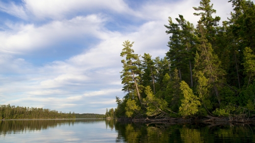 Green Trees on Shore and Beautiful River