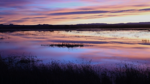 Lake and Purple Dusk