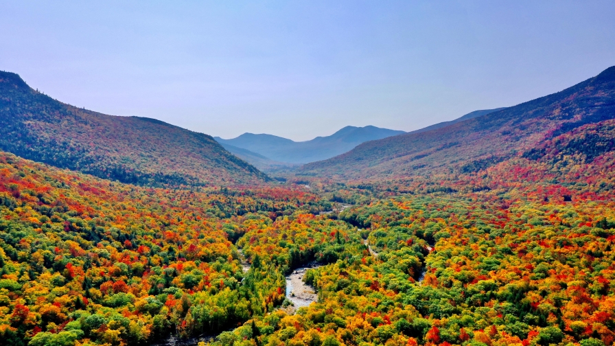 River in Autumn Forest