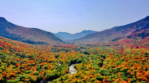 River in Autumn Forest