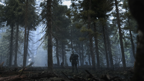 S.T.A.L.K.E.R. 2 Heart of Chernobyl Stalker in Forest