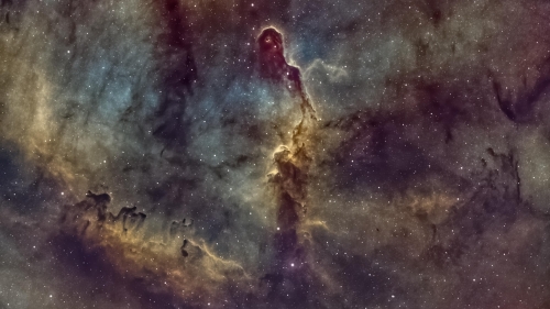 Stars in Purple and Yellow Galaxy