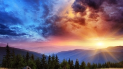 Sunrise in Green Old Forest