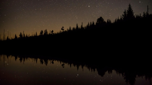 Trees Around Lake and Beautiful Starry Sky