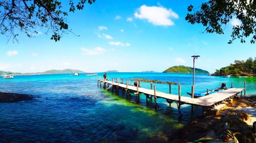 Tropical Coast and Bridge