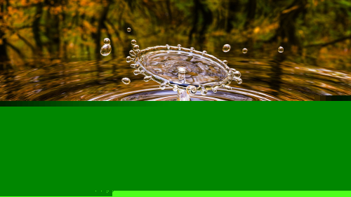 Water Drop in Autumn Lake