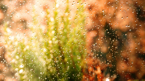 Water Drops on Glass and Grass in Garden