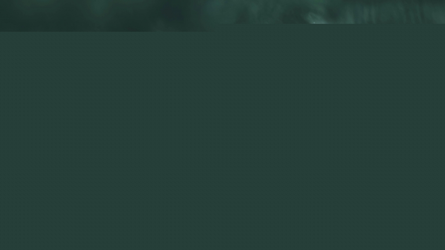 Wet Needles and Drops on Branches