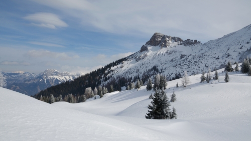 Winter in Mountains and Forest