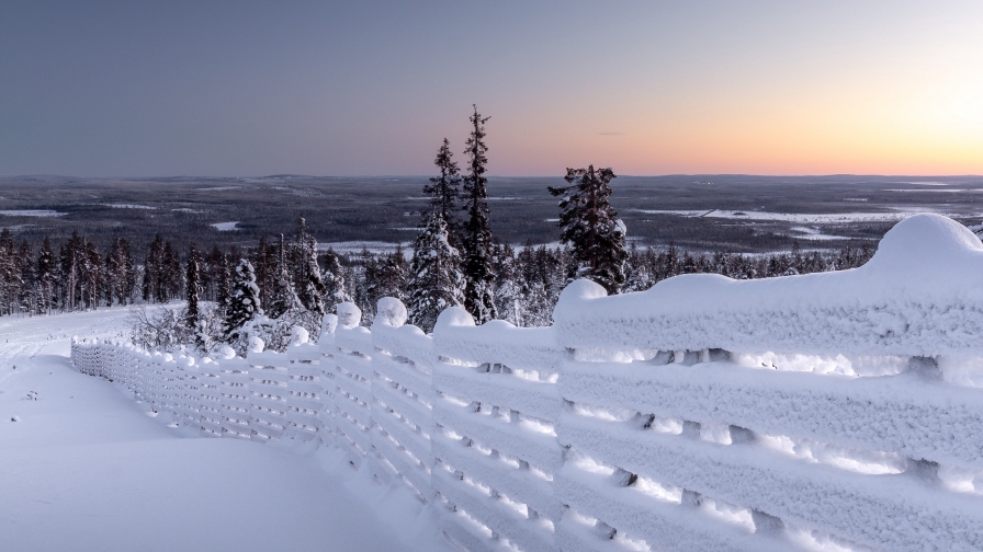 Winter Snow on the Fence
