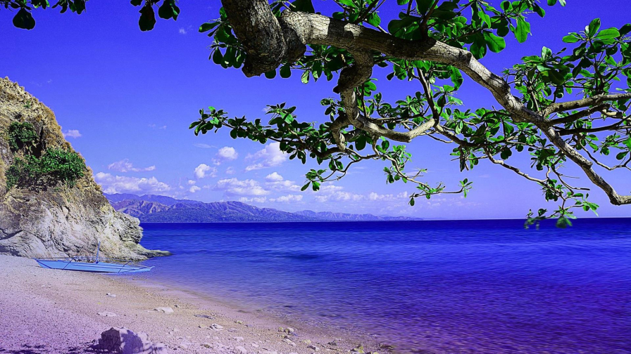 Wonderful Blue Ocean and Coast