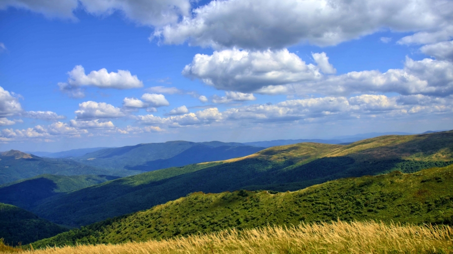 Wonderful meadow and mountains