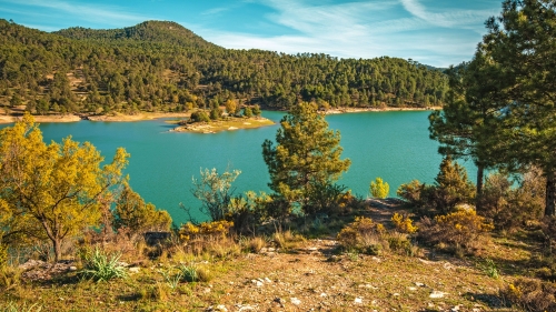 Wonderful Pine Forest and Blue Lake