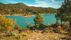 Wonderful Pine Forest and Blue Lake