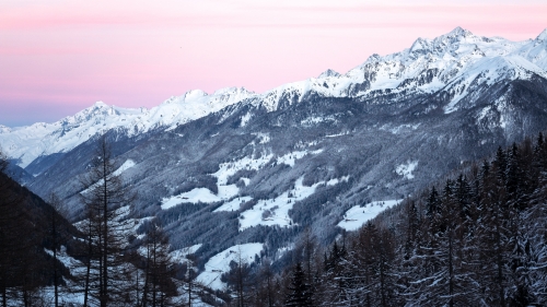 Wonderful Snow Covered Mountains and Pine Forest