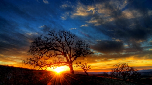 Wonderful Sunrise in Mountain Valley