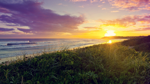 Wonderful Sunrise on Lake and Green Grass