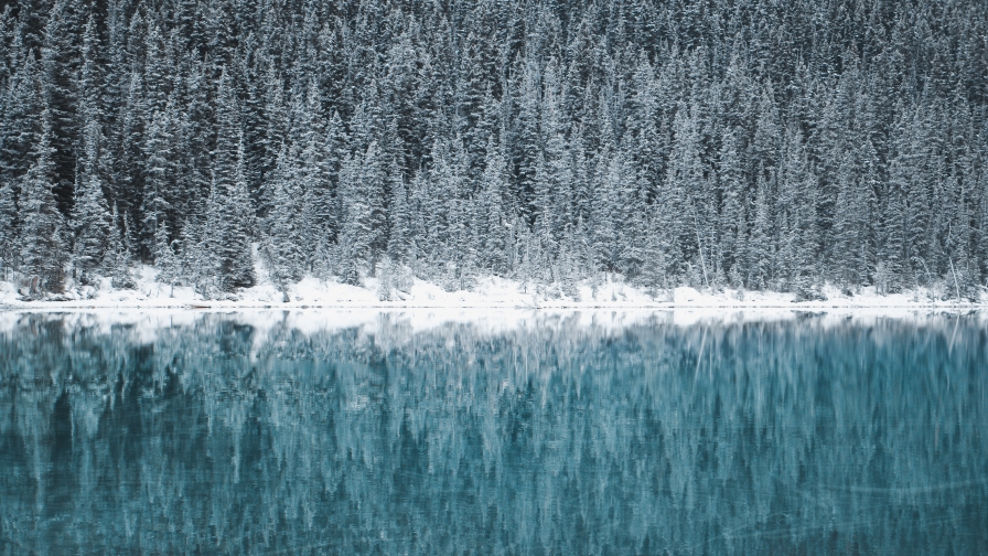 Wonderful Winter Forest and Blue River