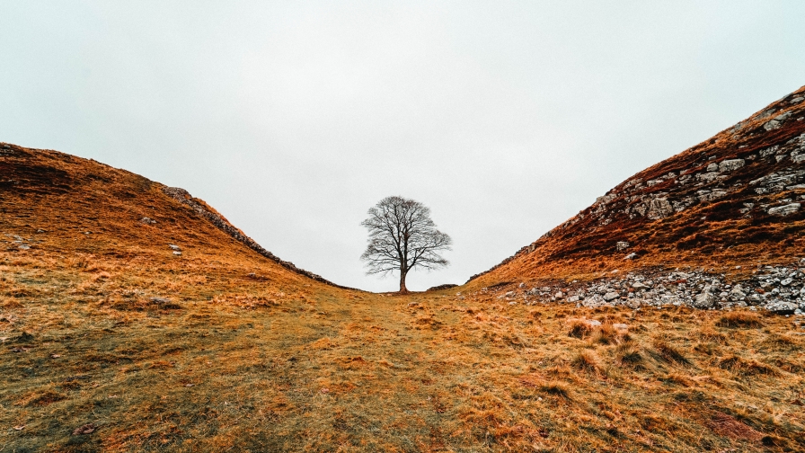 Yellow Hills and Mountains