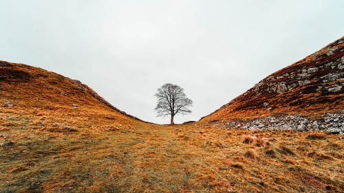 Yellow Hills and Mountains